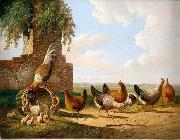 unknow artist Cocks 059 oil painting picture wholesale